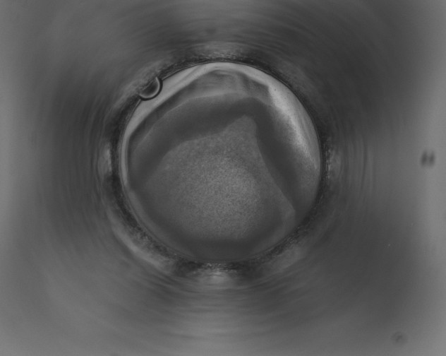 X0000110730254200906261525