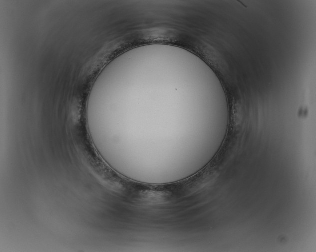 X0000110730255200906261525