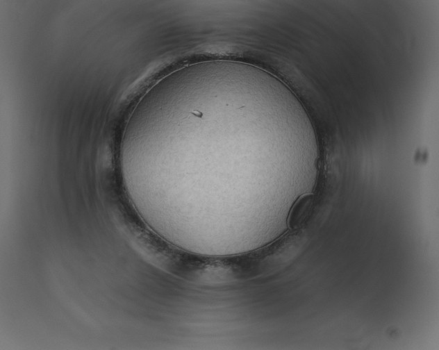 X0000110730256200906261525