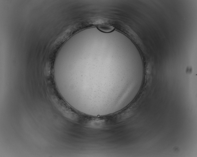 X0000110730257200906261525