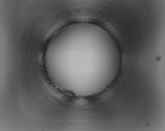 X0000110730258200906261525