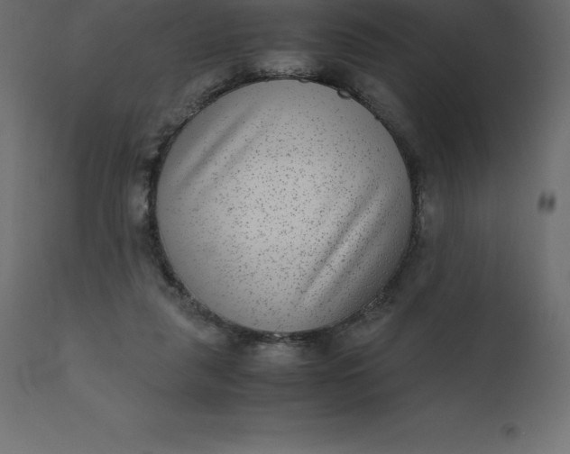 X0000110730259200906261525