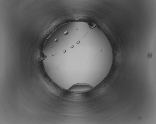 X0000110730260200906261525