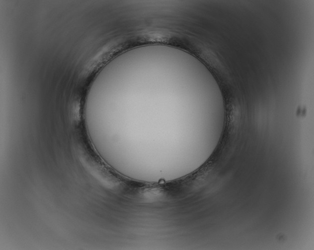 X0000110730262200906261525