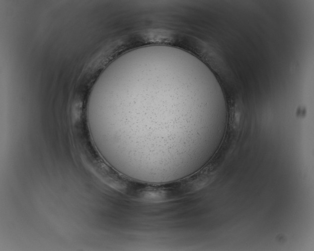 X0000110730263200906261525