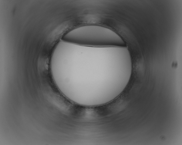 X0000110730264200906261525