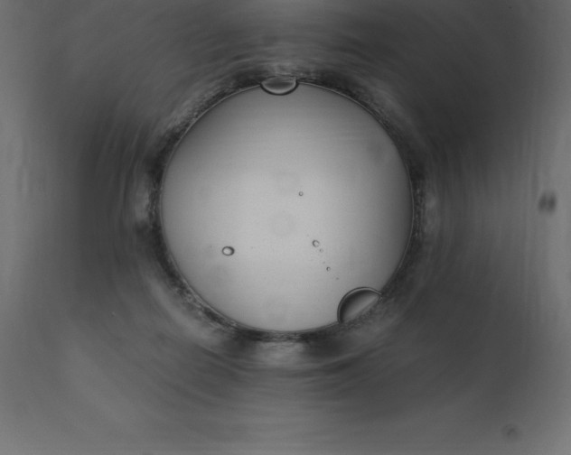 X0000110730266200906261525