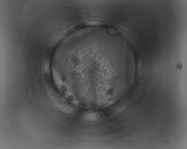 X0000110730267200906261525