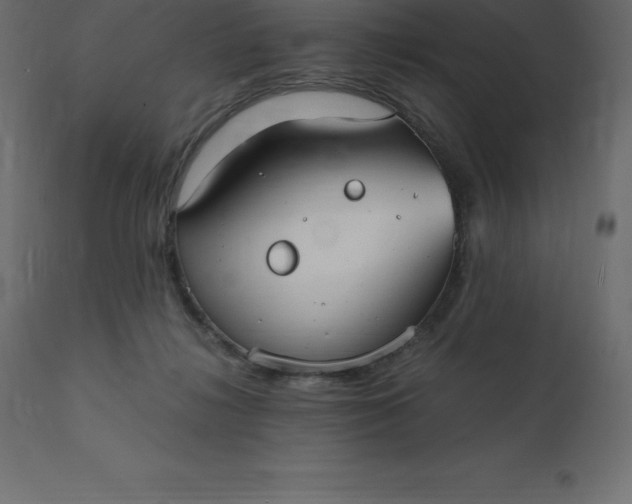 X0000110730268200906261526