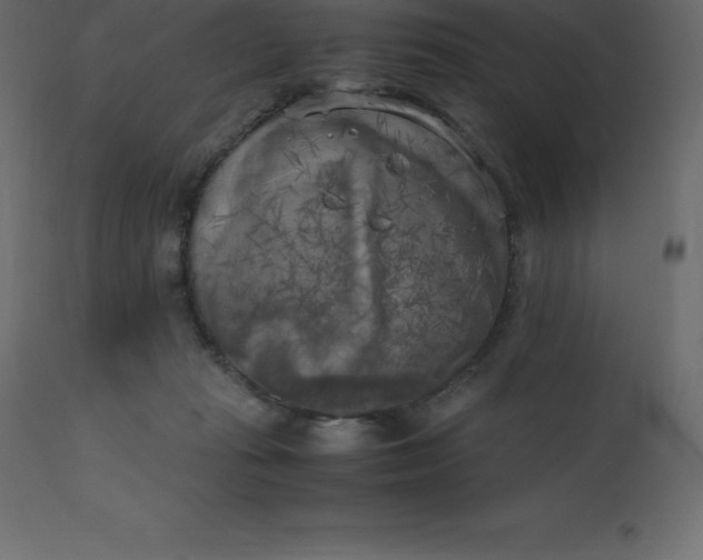 X0000110730269200906261526