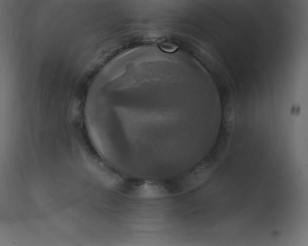 X0000110730270200906261526