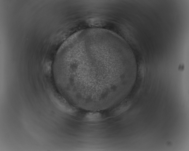 X0000110730271200906261526