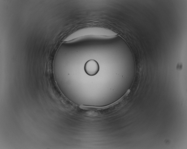 X0000110730272200906261526