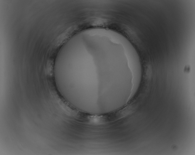 X0000110730273200906261526