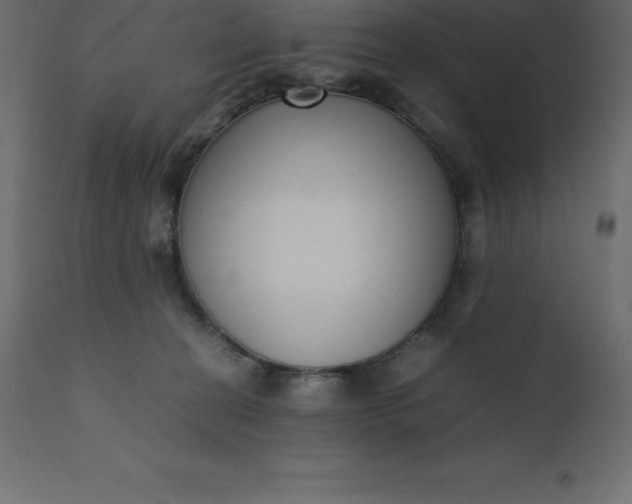 X0000110730274200906261526