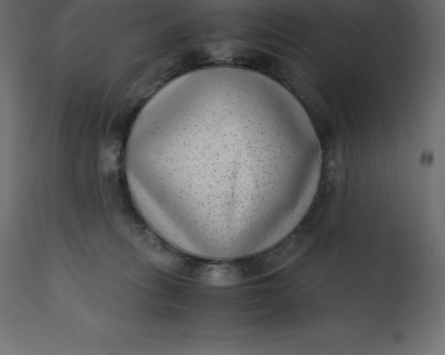 X0000110730275200906261526