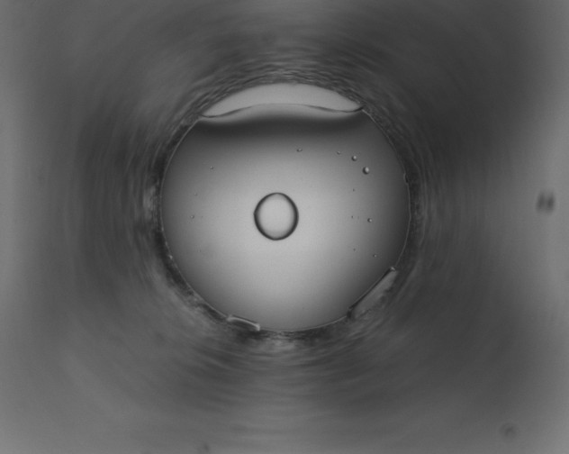 X0000110730276200906261526