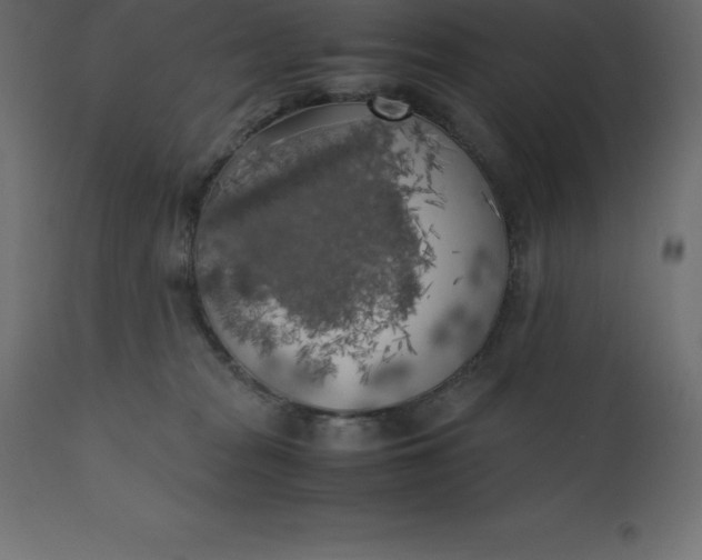 X0000110730277200906261526