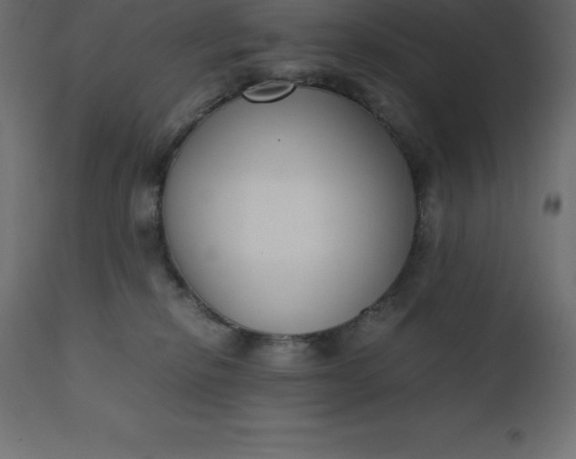 X0000110730278200906261526