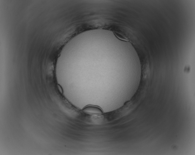 X0000110730279200906261526