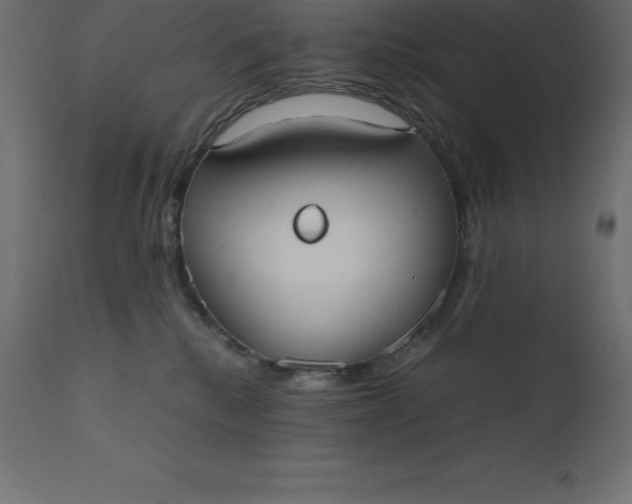 X0000110730280200906261526