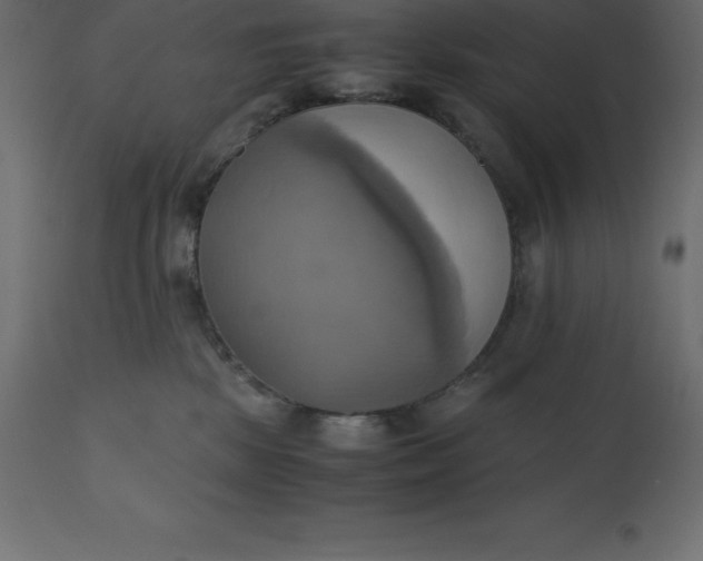 X0000110730281200906261526