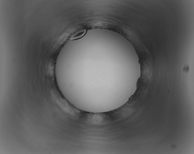 X0000110730282200906261526