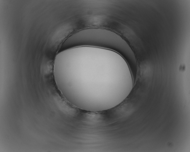 X0000110730284200906261526