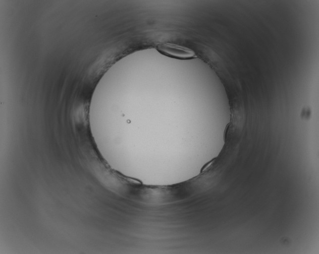 X0000110730286200906261526