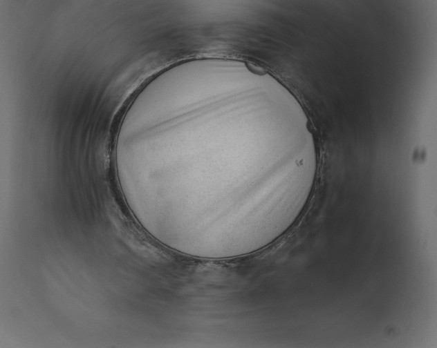 X0000110730290200906261525