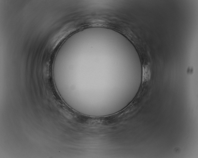 X0000110730291200906261525