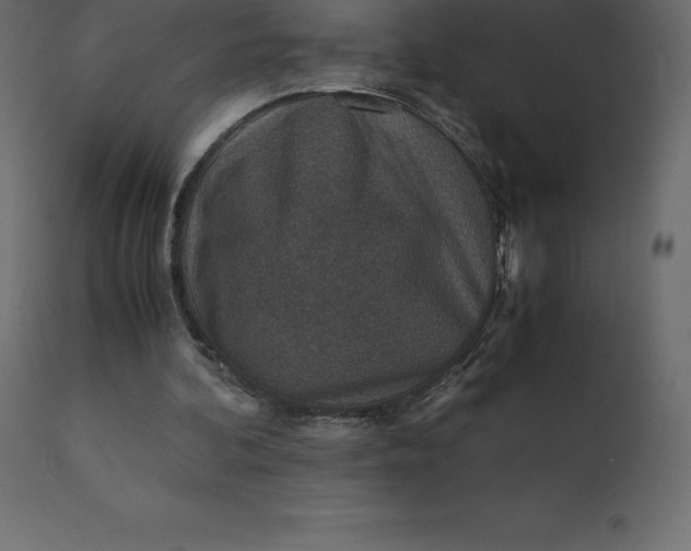 X0000110730292200906261525