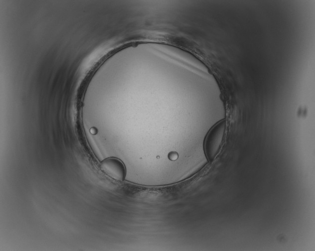 X0000110730294200906261525