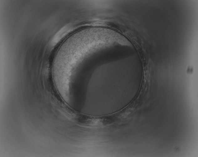 X0000110730295200906261525