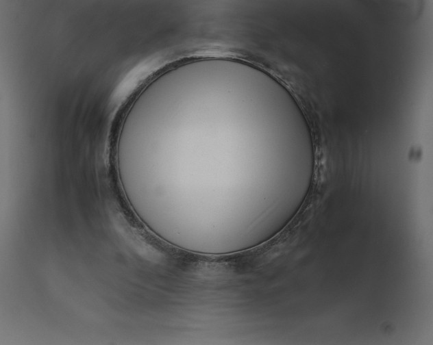 X0000110730296200906261525