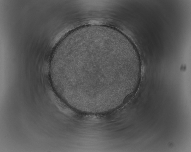 X0000110730297200906261525