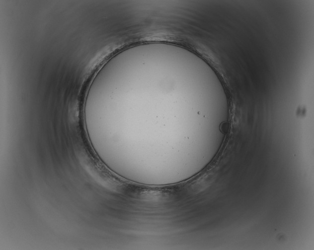 X0000110730298200906261525