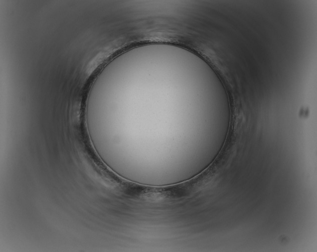 X0000110730299200906261525