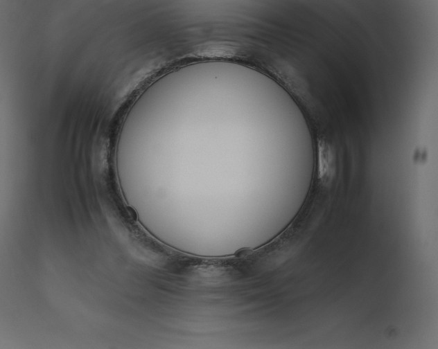 X0000110730300200906261525