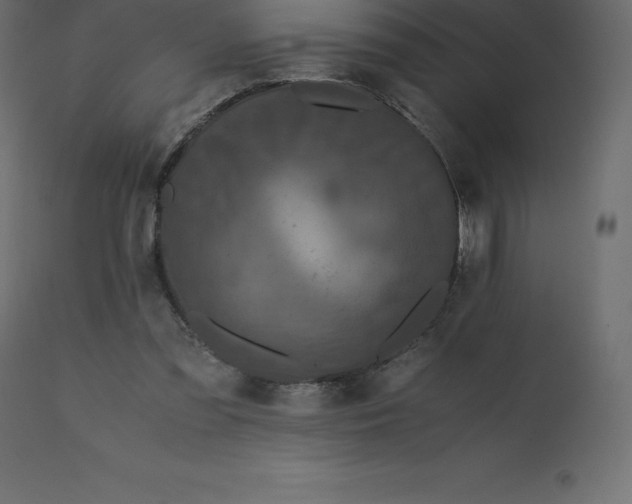 X0000110730301200906261525