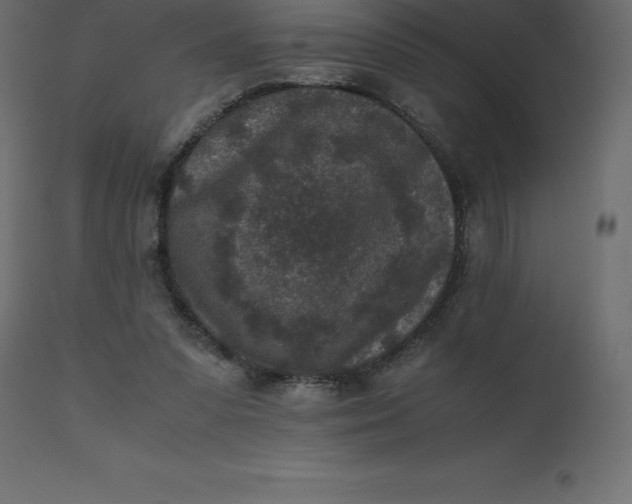 X0000110730303200906261525