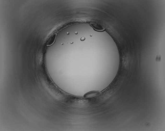 X0000110730304200906261525