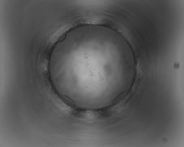 X0000110730305200906261525