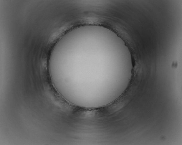 X0000110730306200906261525