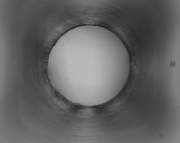 X0000110730307200906261525