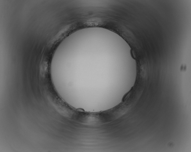 X0000110730308200906261525