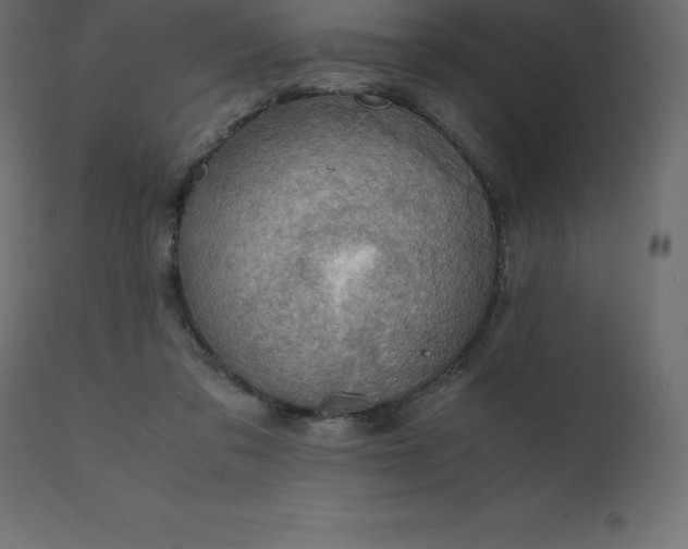 X0000110730309200906261525