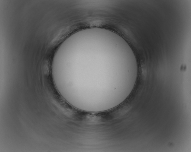 X0000110730311200906261525