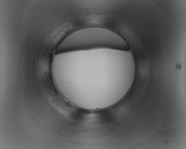 X0000110730312200906261525