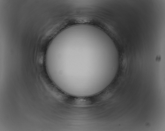 X0000110730315200906261525